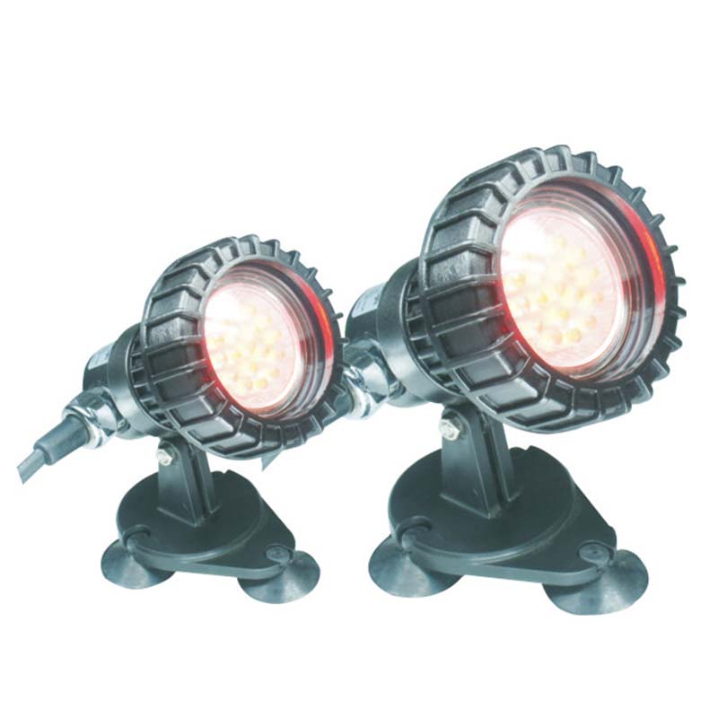 نور غوطه ور ماهی در بالای حوضچه زیر زمین